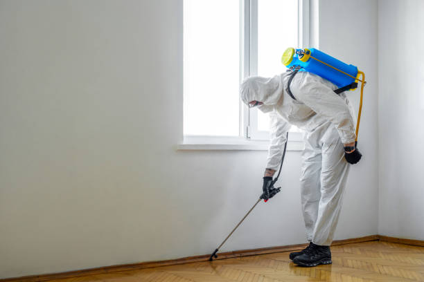 Best Flea Control Services  in Osage Beach, MO
