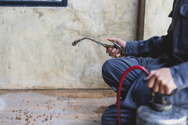 Best Termite Control Services  in Osage Beach, MO